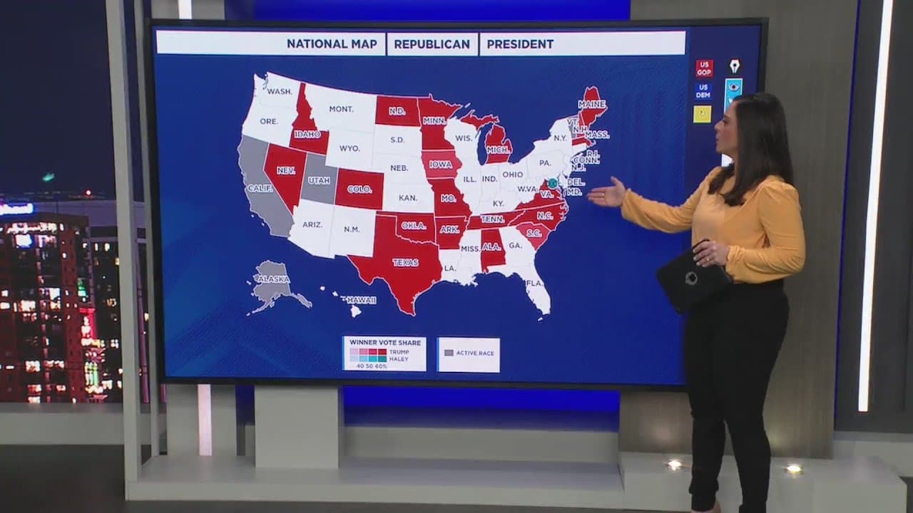 National Super Tuesday presidential primary election results